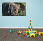 Custom Printed Wall Murals | Removable Wall Murals | PrintMyBanners